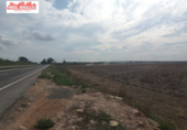 Terreny no urbanitzable en venda a la España, Elx, ref.: TR116360 foto
