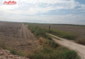 Terreny no urbanitzable en venda a la España, Elx, ref.: TR116360 foto