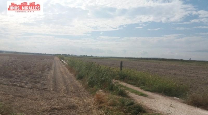 Alicante - Elche - 40000m2