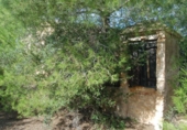 Non-developable land for sale on España, l'Ampolla, ref: TR116376 photo