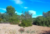 Non-developable land for sale on España, l'Ampolla, ref: TR116376 photo