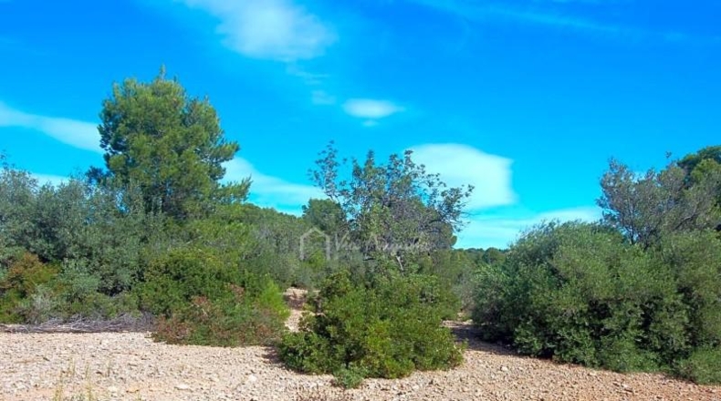 Tarragona - l'Ampolla - 68915m2