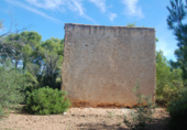 Non-developable land for sale on España, l'Ampolla, ref: TR116376 photo