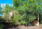 Non-developable land for sale on España, l'Ampolla, ref: TR116376 photo