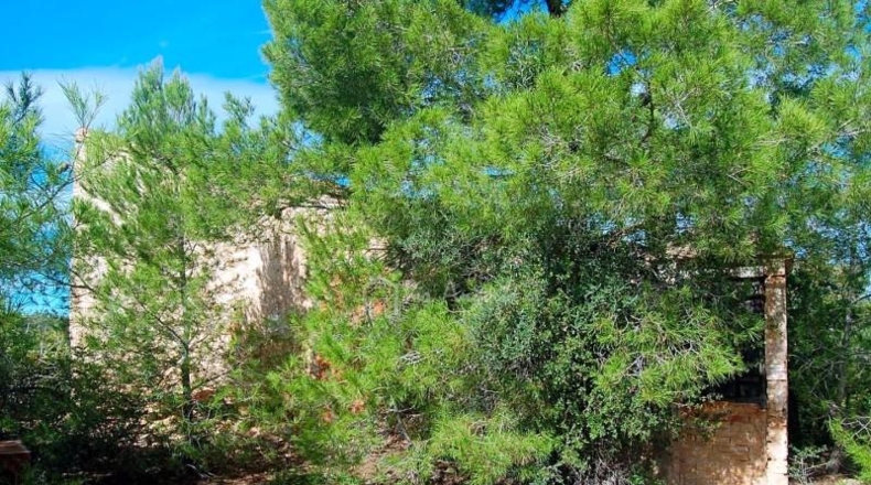 Tarragona - l'Ampolla - 68915m2