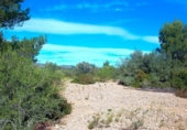 Non-developable land for sale on España, l'Ampolla, ref: TR116376 photo