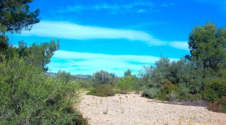 Tarragona - l'Ampolla - 68915m2