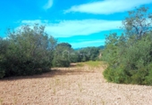 Non-developable land for sale on España, l'Ampolla, ref: TR116376 photo