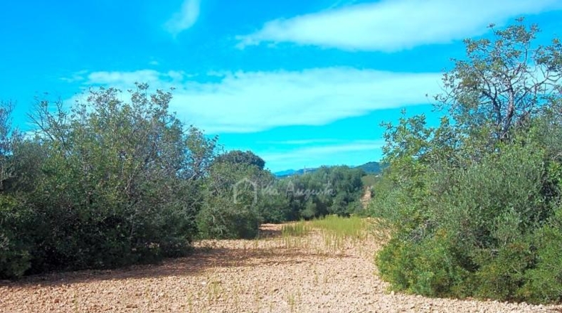 Tarragona - l'Ampolla - 68915m2