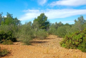 Foto 8