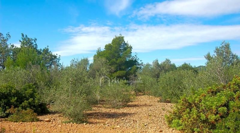 Tarragona - l'Ampolla - 68915m2