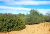 Non-developable land for sale on España, l'Ampolla, ref: TR116376 photo