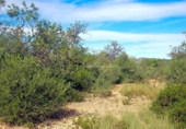 Non-developable land for sale on España, l'Ampolla, ref: TR116376 photo