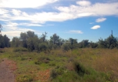 Non-developable land for sale on España, l'Ampolla, ref: TR116376 photo