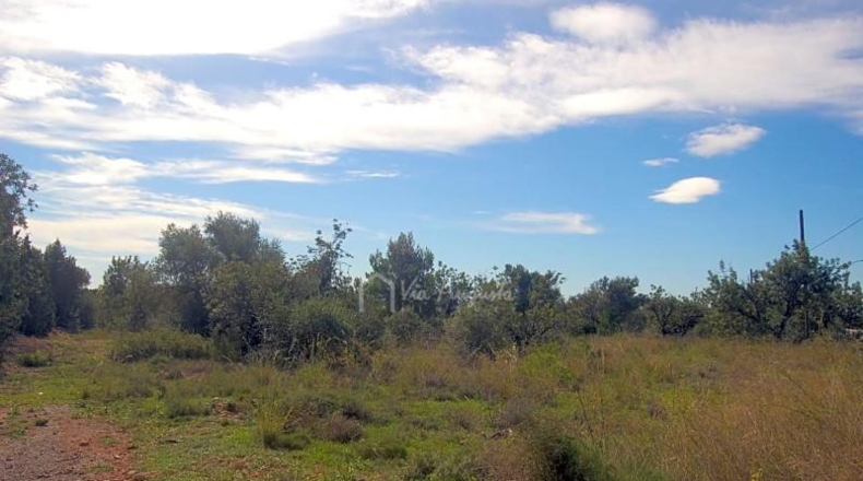 Tarragona - l'Ampolla - 68915m2