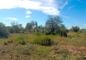Non-developable land for sale on España, l'Ampolla, ref: TR116376 photo