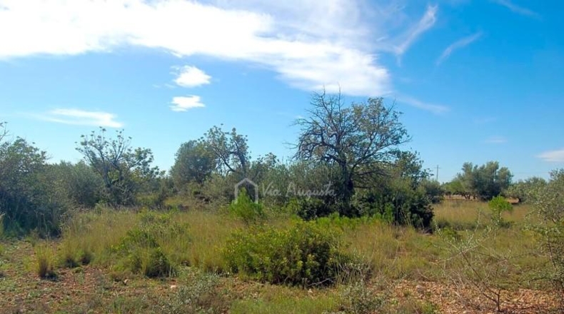 Tarragona - l'Ampolla - 68915m2