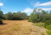 Non-developable land for sale on España, l'Ampolla, ref: TR116376 photo