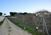 Земля на продажу у города Chiclana de la Frontera Фото