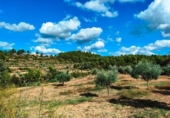 Xalet independent amb terreny en venda a la España, Queretes, ref.: TR301680 foto