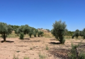 Xalet independent amb terreny en venda a la España, Queretes, ref.: TR301680 foto