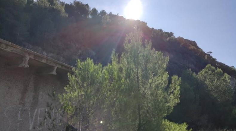 Alicante - Adsubia - 40000m2