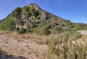 l'Atzúbia 40000&nbsp;m² 