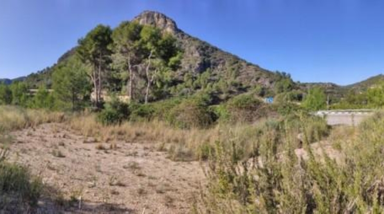 Alicante - Adsubia - 40000m2