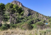 Casa de camp amb terreny en venda a la España, l'Atzúbia, ref.: TR300961 foto
