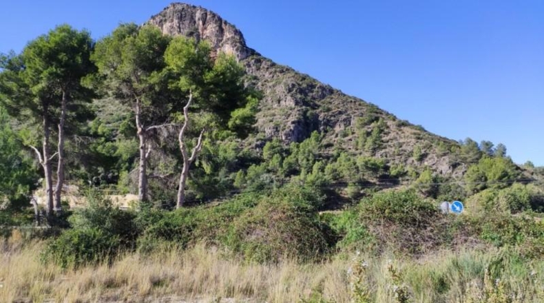 Alicante - Adsubia - 40000m2