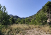 Casa de camp amb terreny en venda a la España, l'Atzúbia, ref.: TR300961 foto