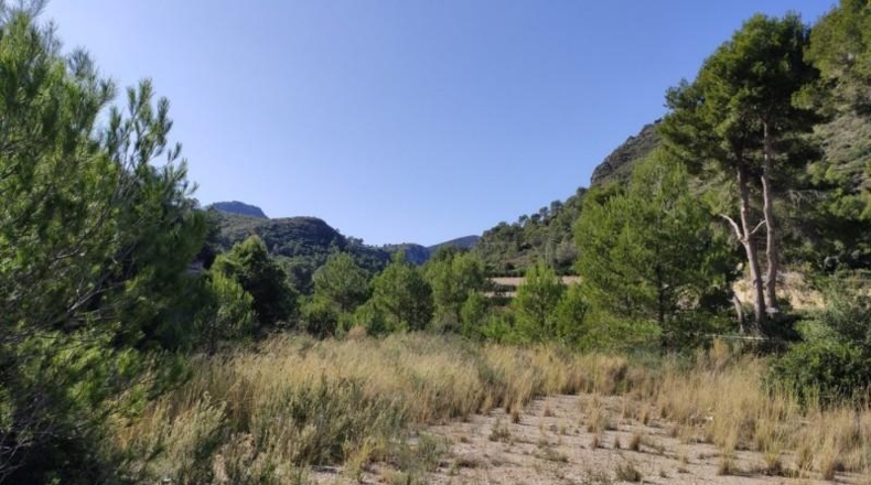 Alicante - Adsubia - 40000m2
