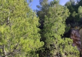 Casa de camp amb terreny en venda a la España, l'Atzúbia, ref.: TR300961 foto