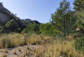 l'Atzúbia 40000&nbsp;m² 