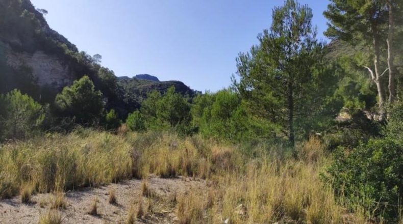 Alicante - Adsubia - 40000m2