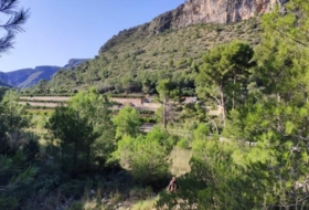 l'Atzúbia 40000&nbsp;m² 