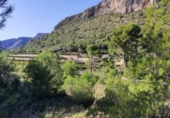 Casa de camp amb terreny en venda a la España, l'Atzúbia, ref.: TR300961 foto