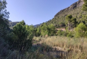 l'Atzúbia 40000&nbsp;m² 