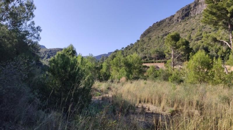 Alicante - Adsubia - 40000m2