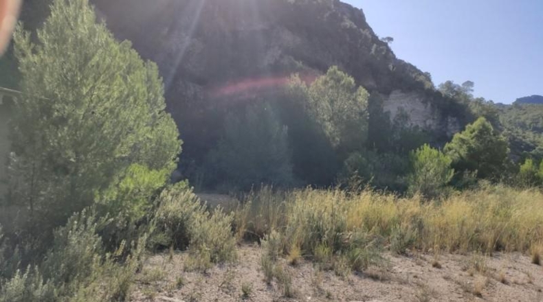 Alicante - Adsubia - 40000m2