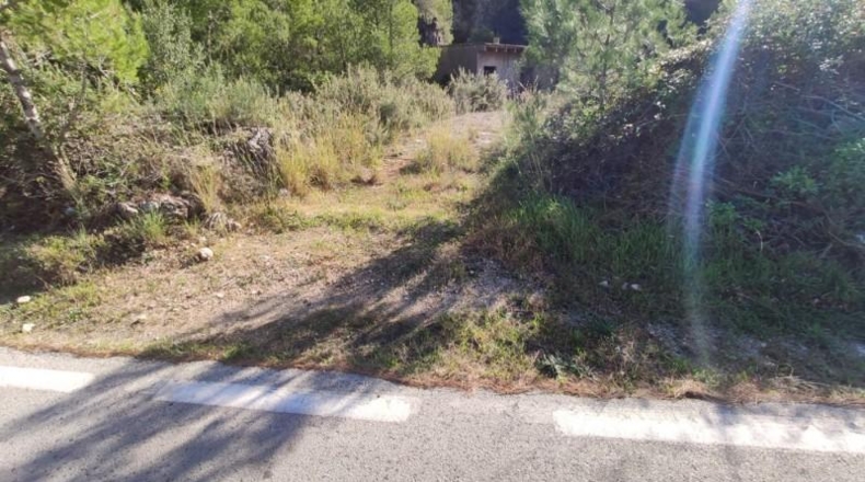 Alicante - Adsubia - 40000m2