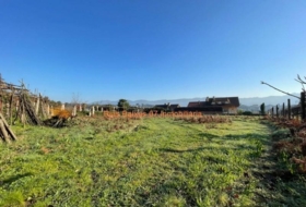 Porriño 1051&nbsp;m²