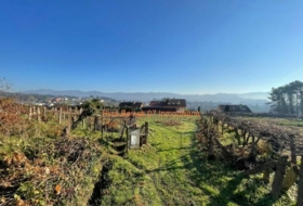 Porriño 1051&nbsp;m²