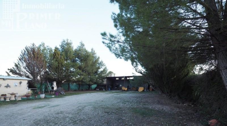 Ciudad Real - Tomelloso - 1655m2