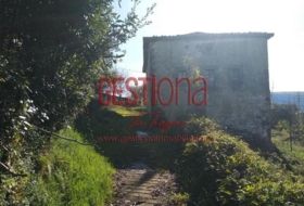 Rozas 793&nbsp;m² 