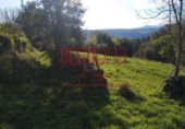 Casa de camp amb terreny en venda a la España, Rozas, ref.: TR295927 foto