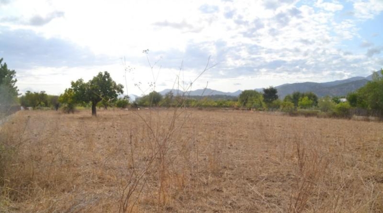 Islas Baleares - Campanet - 4316m2