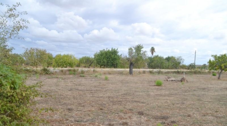 Islas Baleares - Campanet - 4316m2