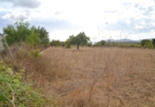 Detached villa with land for sale on España, Campanet, ref: TR304196 photo