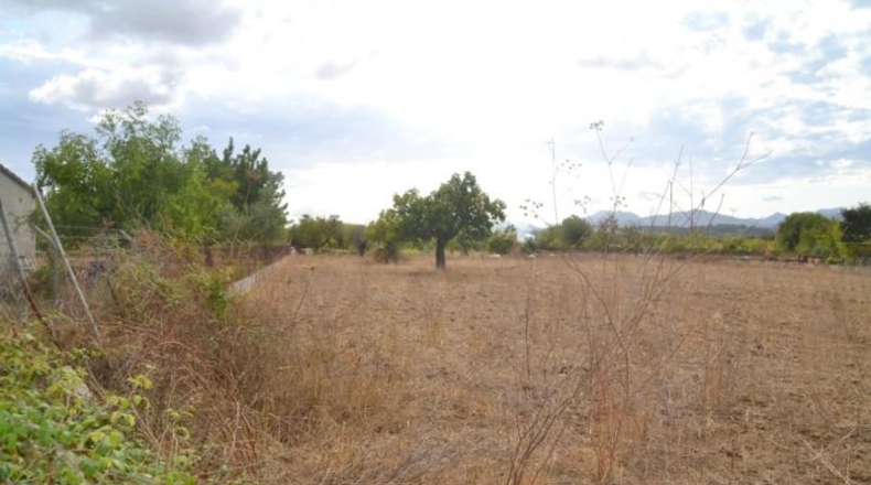 Islas Baleares - Campanet - 4316m2